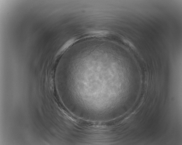 X0000080801354200612221544