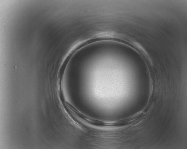 X0000080801376200612221544