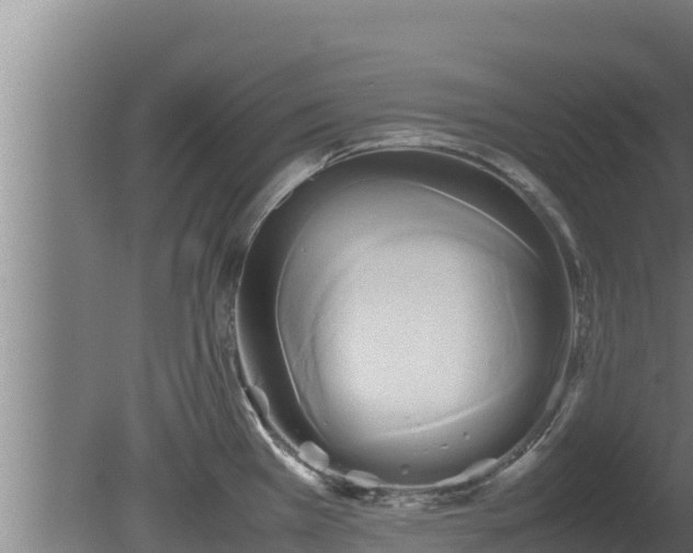 X0000080801385200612221543