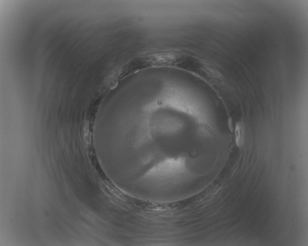 X0000080801395200612221542