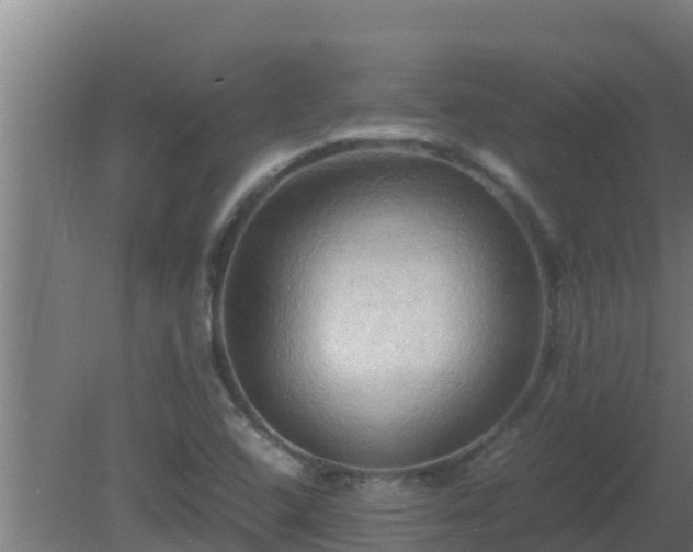 X0000080801408200612221543
