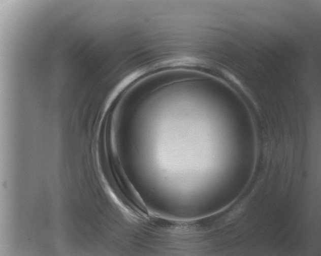 X0000080801418200612221543