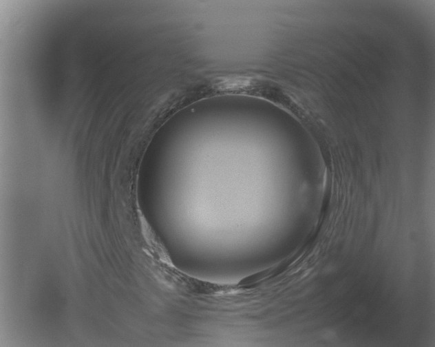 X0000080801441200612221542