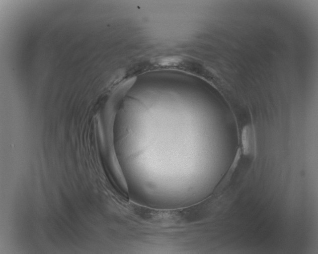 X0000080801443200612221542