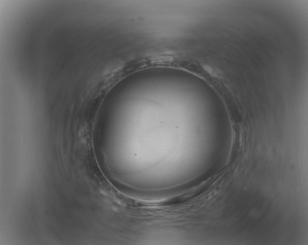 X0000080801445200612221542