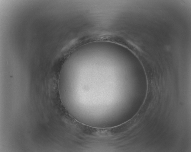 X0000080801447200612221542