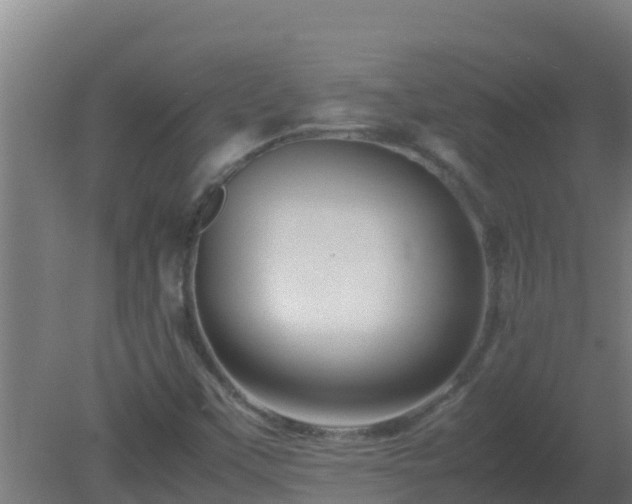 X0000080801451200612221542