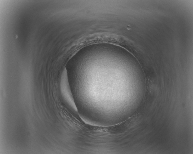 X0000080801489200612221541