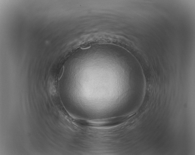 X0000080801490200612221541