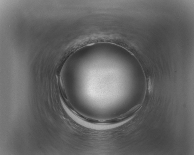 X0000080801492200612221541