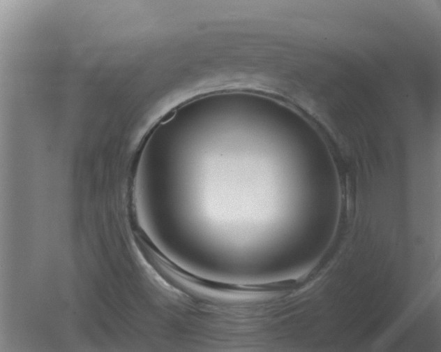 X0000080801500200612221541