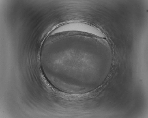 X0000080800002200701021302