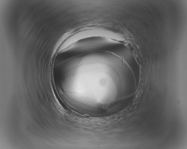 X0000080800003200701021302