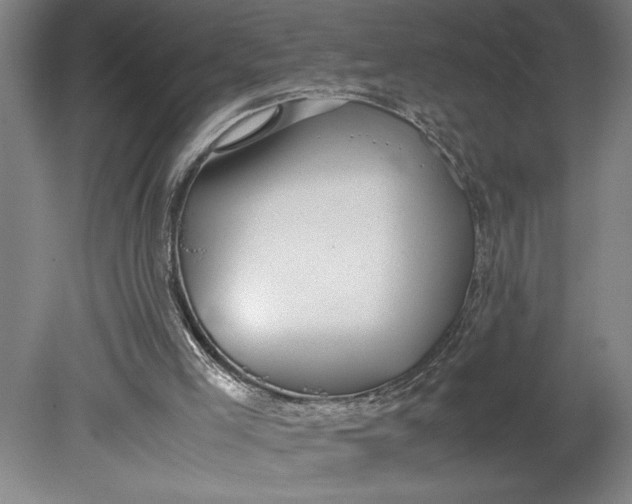 X0000080800005200701021302