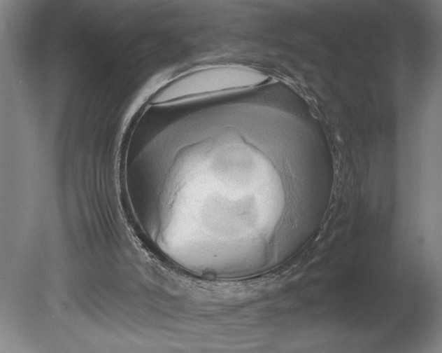 X0000080800006200701021302