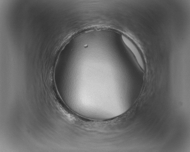 X0000080800009200701021302