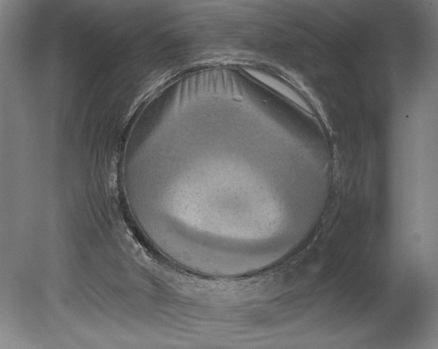 X0000080800010200701021302