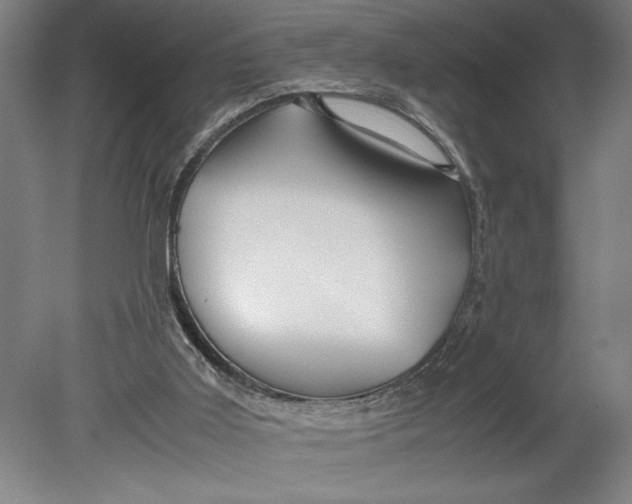 X0000080800011200701021302