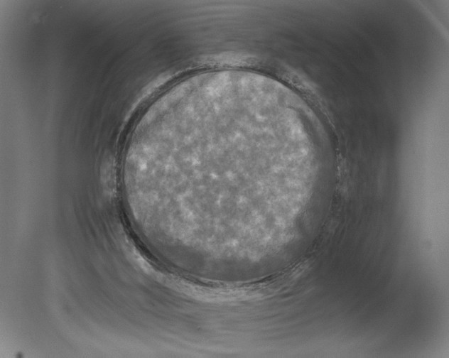 X0000080800012200701021302