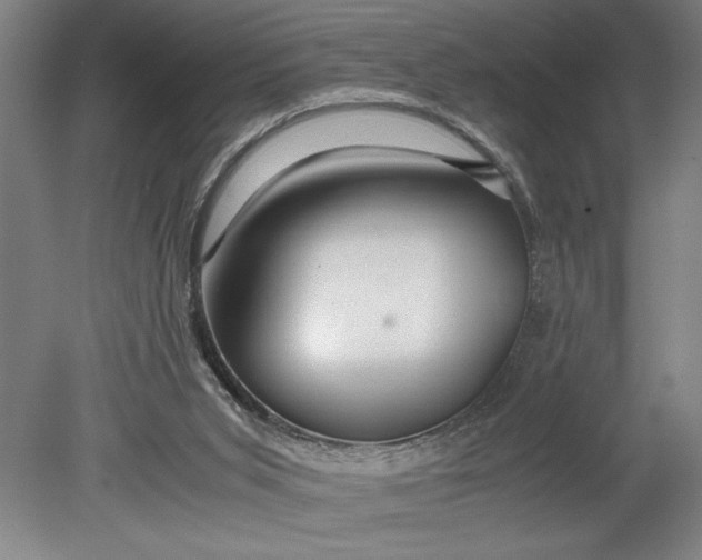 X0000080800015200701021302