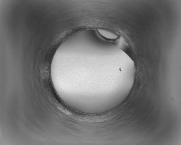 X0000080800017200701021302