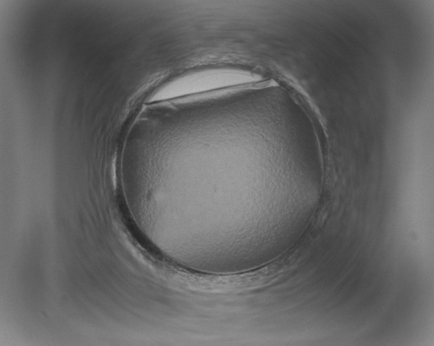 X0000080800019200701021301