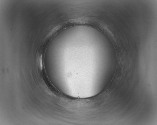 X0000080800020200701021301