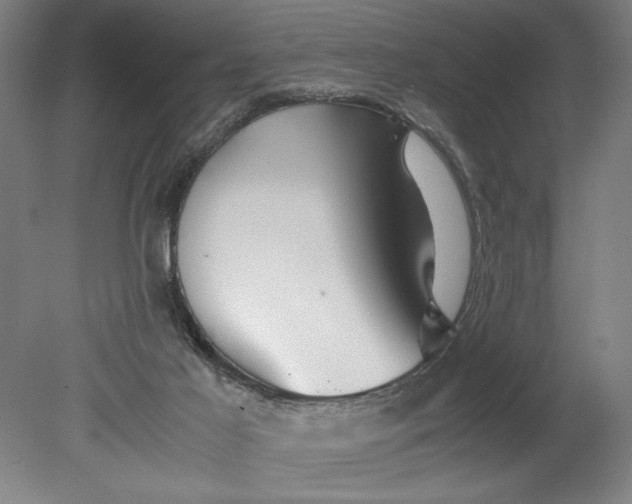 X0000080800021200701021301