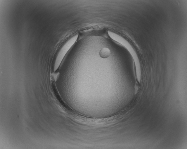 X0000080800023200701021301