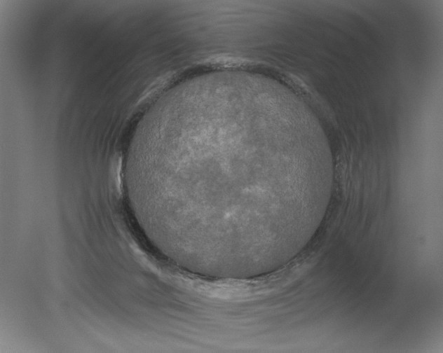 X0000080800024200701021301