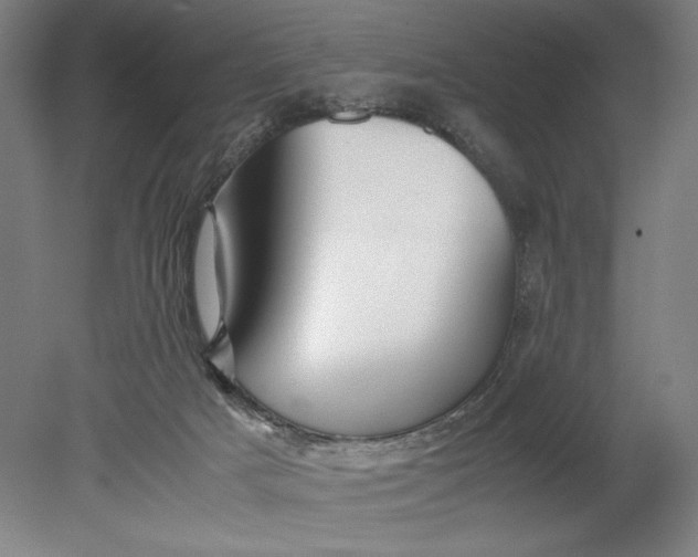 X0000080800025200701021301