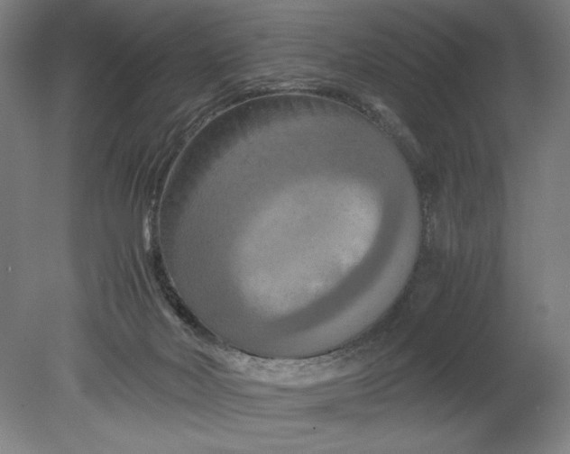 X0000080800026200701021301