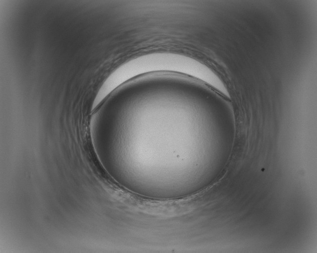 X0000080800029200701021301