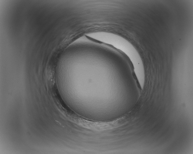 X0000080800031200701021301