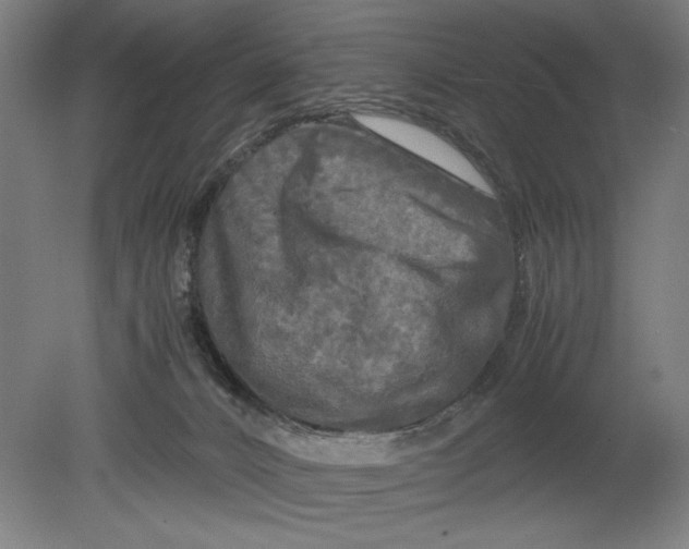X0000080800032200701021301