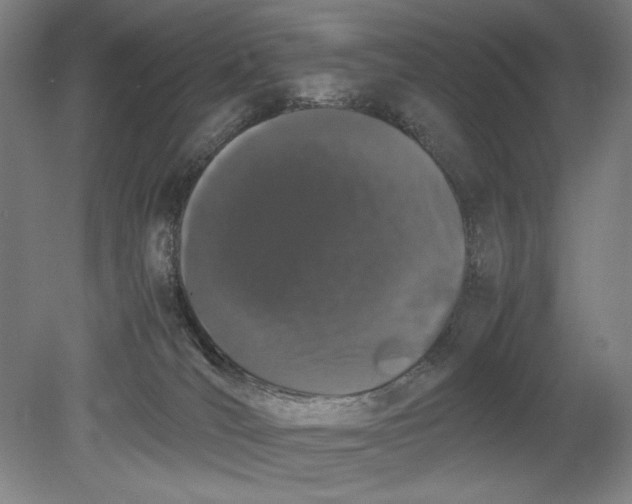 X0000080800036200701021301