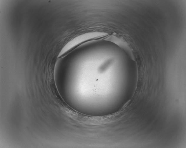 X0000080800037200701021301