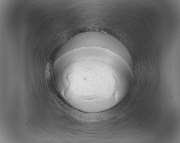 X0000080800038200701021301