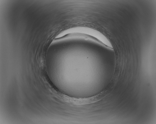X0000080800039200701021301