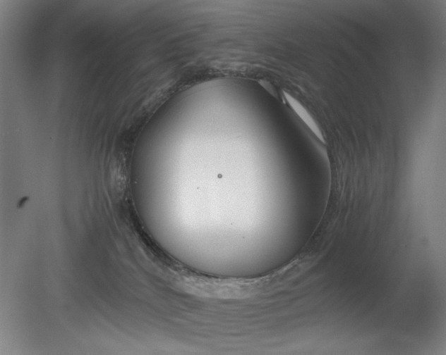 X0000080800040200701021301