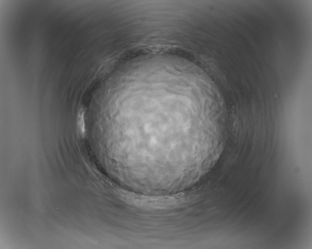 X0000080800042200701021301
