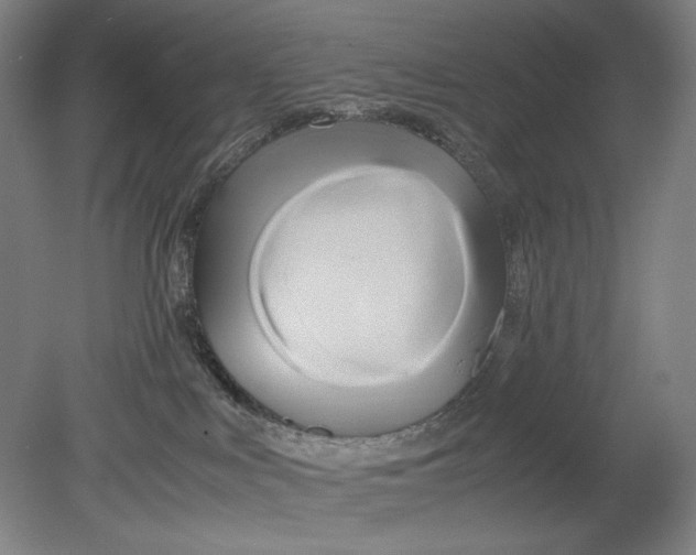 X0000080800043200701021301
