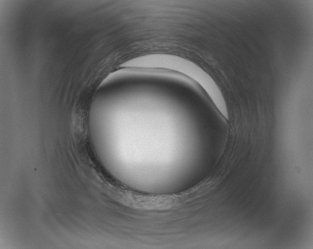 X0000080800044200701021301
