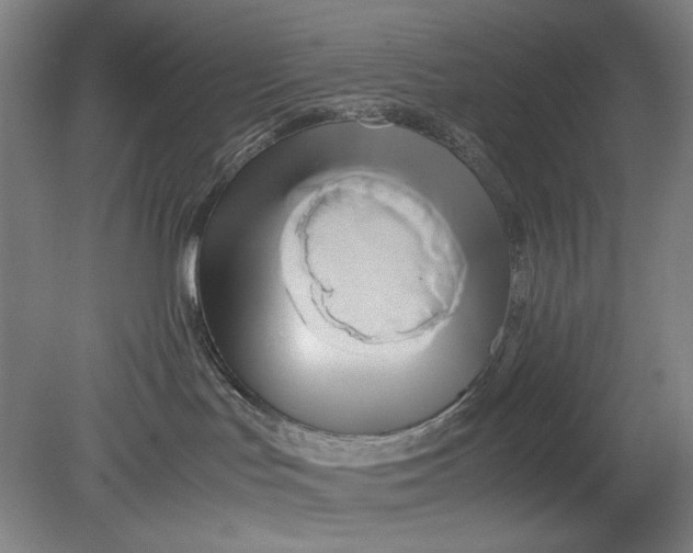 X0000080800047200701021301