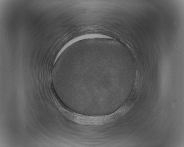 X0000080800048200701021301