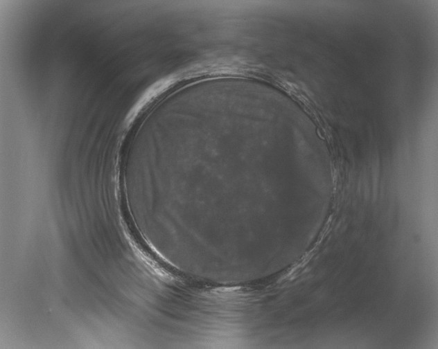X0000080800054200701021300