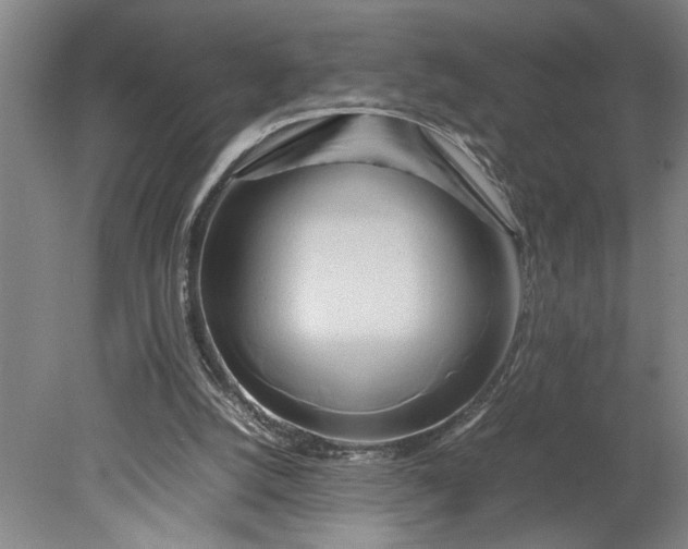X0000080800056200701021300