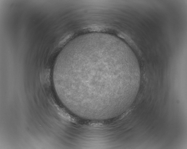 X0000080800066200701021300