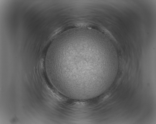 X0000080800071200701021301