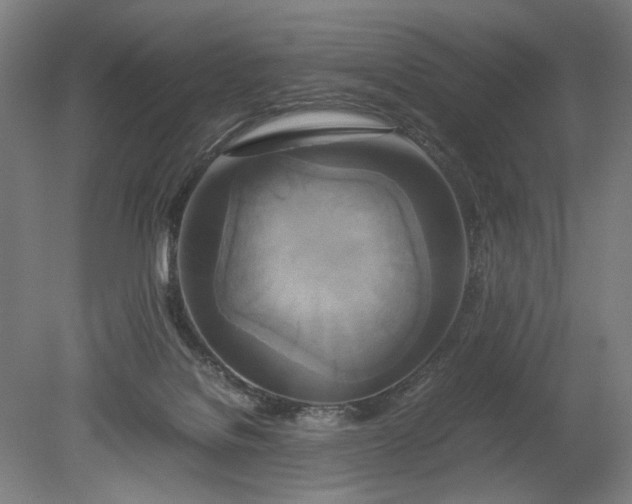 X0000080800076200701021301
